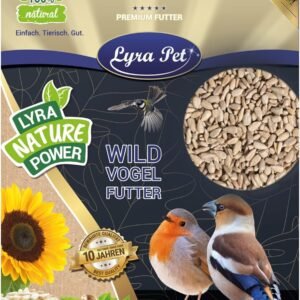 71Ob3wH4WCL. AC SL1500 .jpg