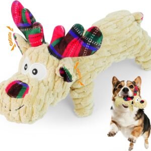 71ObQ4Y5TOL. AC SL1500 .jpg