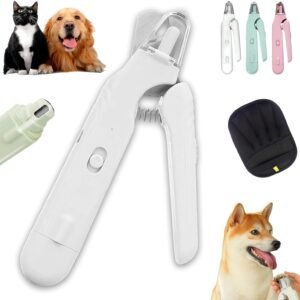 71OlUGSD5lL. AC SL1500 .jpg