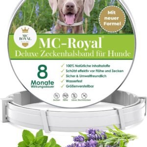 71PT6yixKTL. AC SL1500 .jpg