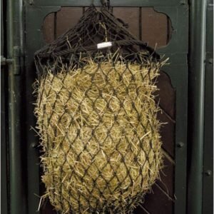 71PdwdcG YL. AC SL1024 .jpg