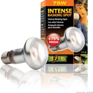 71QNaUIZg7L. AC SL1500 .jpg