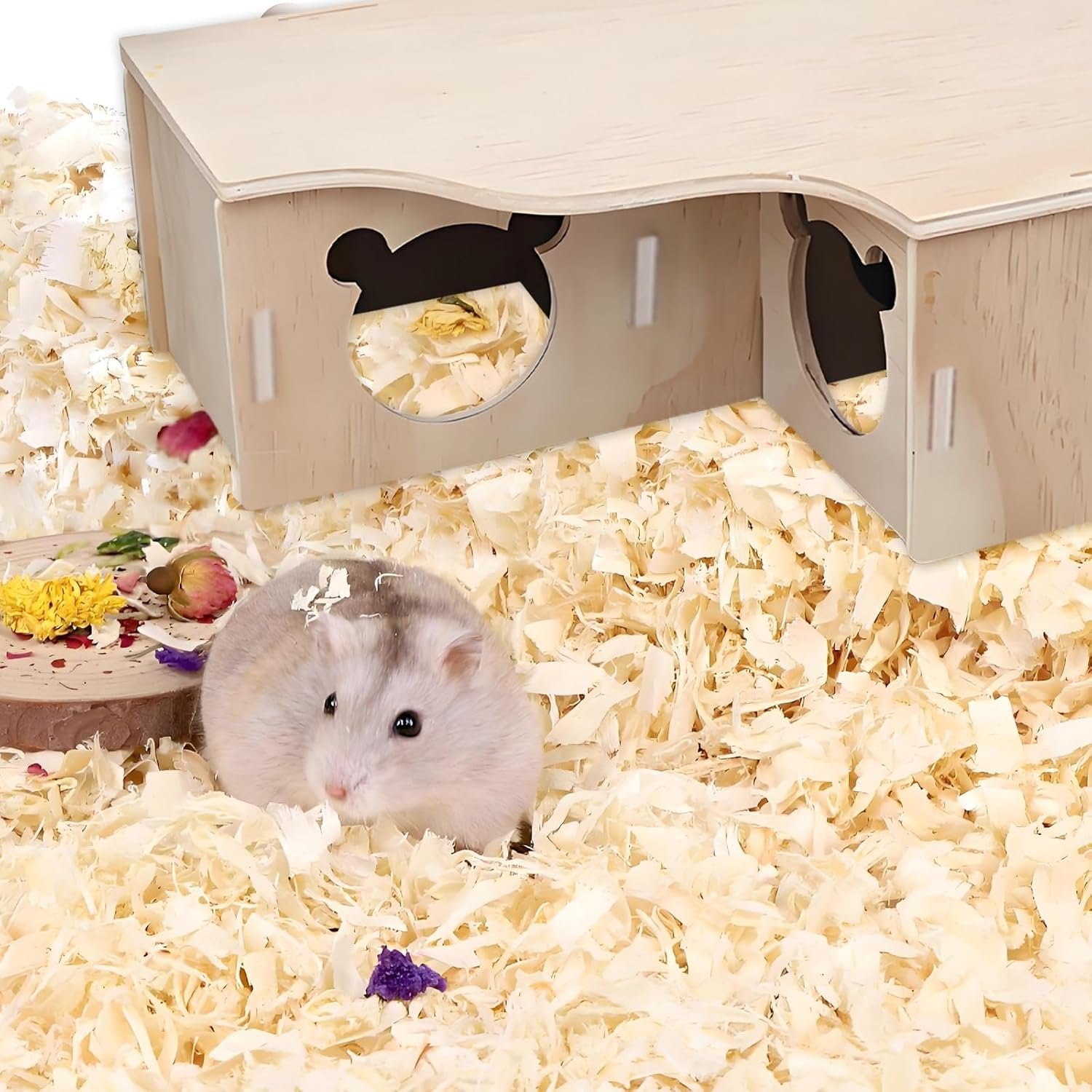 71RDNzUY1AL. AC SL1500 .jpg