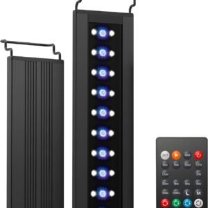 71RQ Zm U6L. AC SL1500 .jpg