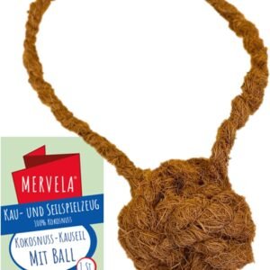 71RfgGzIAvL. AC SL1500 .jpg