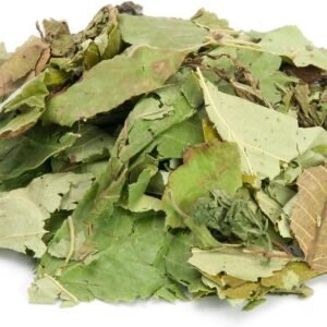 71Ru9eCYNL. AC SL1500 .jpg