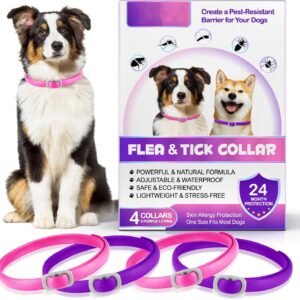 71SbPJwlA6L. AC SL1500 .jpg