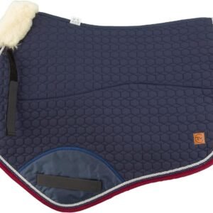 71SrKom14KL. AC SL1500 .jpg