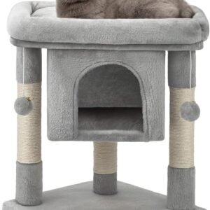 71TdRWGxdL. AC SL1500 .jpg