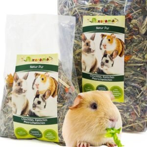 71UZxExzykL. AC SL1080 .jpg