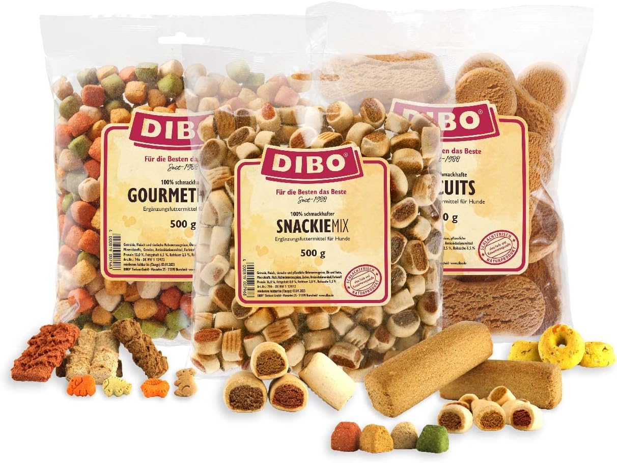 71UqLPJAOUL. AC SL1250 .jpg