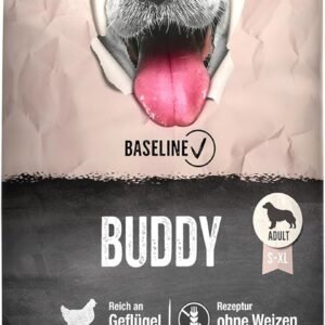 71UrGd e6SL. AC SL1500 .jpg