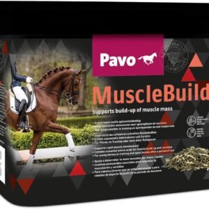 71V15dWJncL. AC SL1200 .jpg