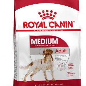 71VEPj XaXL. AC SL1500 .jpg