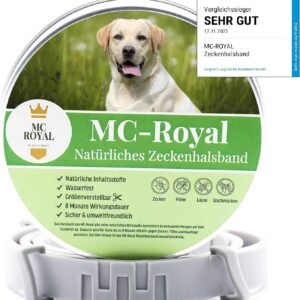 71VSKgiMpiL. AC SL1500 .jpg