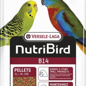 71Vc8WjidUL. SL1500 .jpg