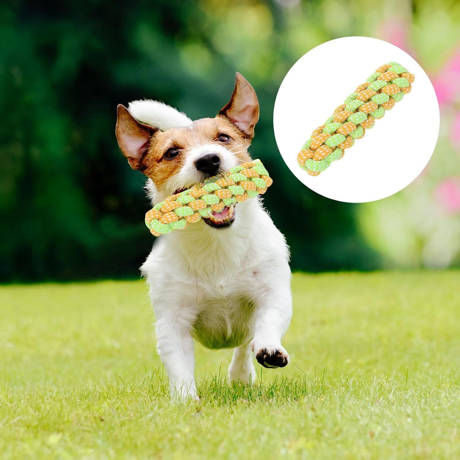 71W8KQzQ3tL. AC SL1500 .jpg