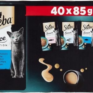 71XHa1y EML. AC SL1500 .jpg