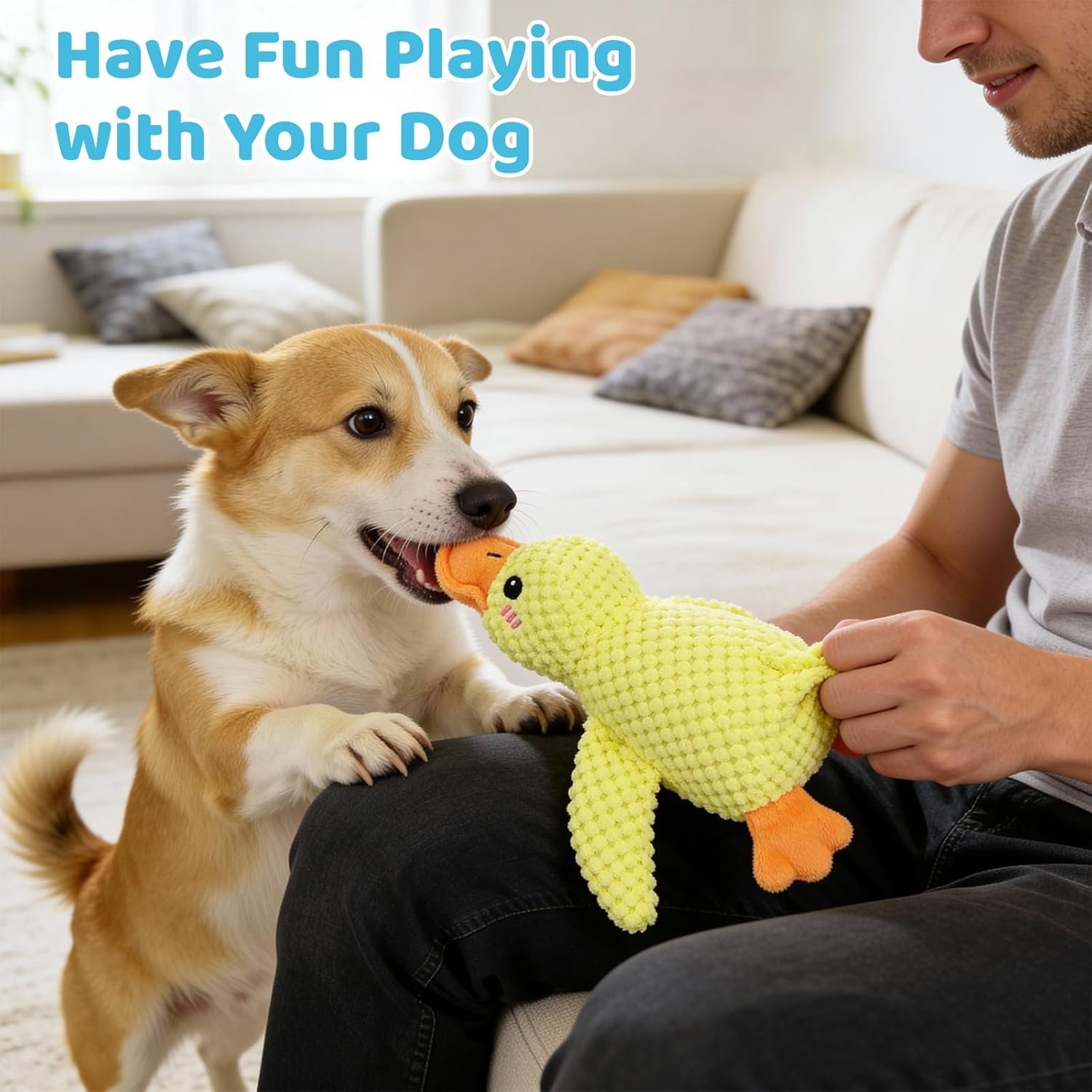 71XaaMTgyOL. AC SL1500 .jpg