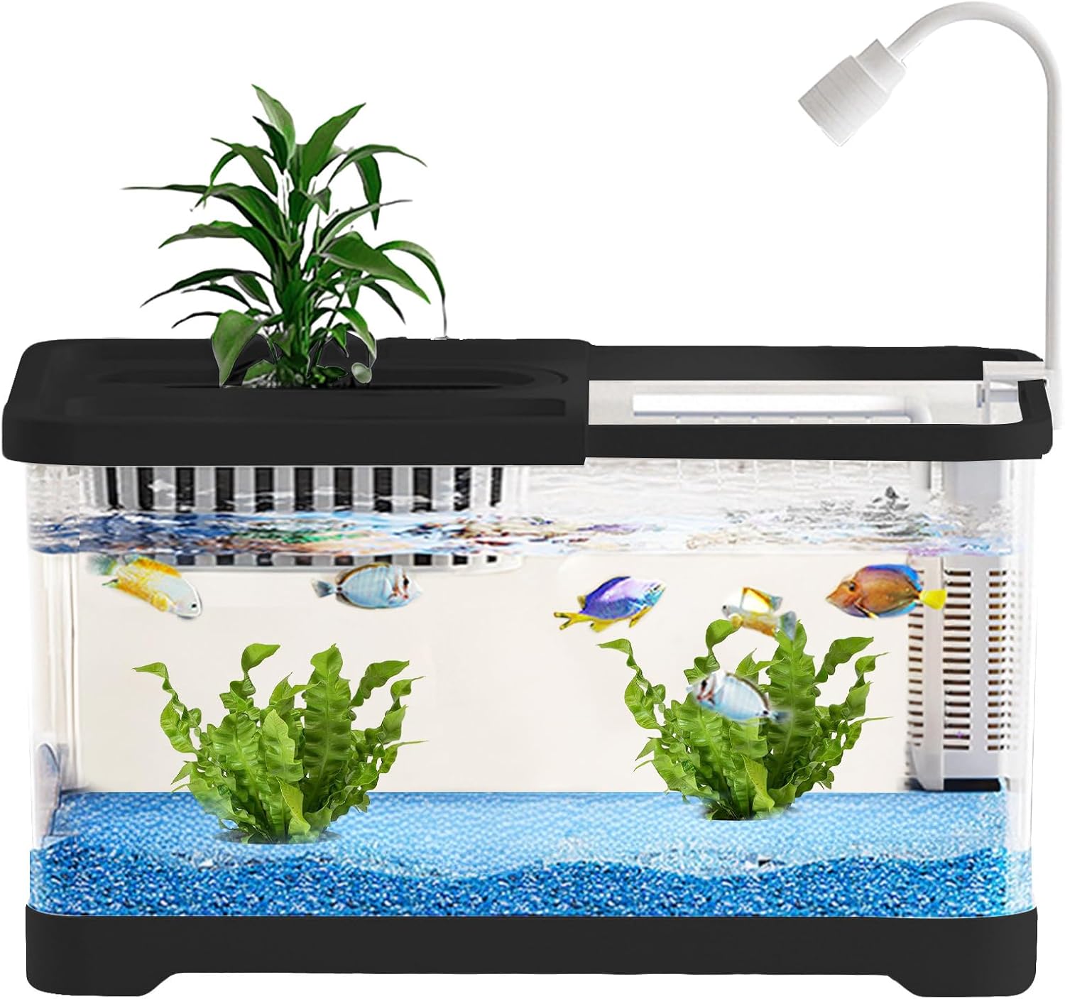 Betta-Fischaquarien, kleine Aquarium-Komplettsets, dekorativer Ziertopf für Quallen, Schnecken, Guppys, Schreibtisch, Wohnzimmer, Schlafzimmer Betta-Fischaquarien, kleine Aquarium-Komplettsets, dekorativer Ziertopf für Quallen, Schnecken, Guppys, Schreibtisch, Wohnzimmer, Schlafzimmer