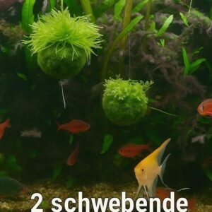 71Xq4hfjWWL. AC SL1500 .jpg