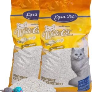 71XqW9 zeNL. AC SL1500 .jpg