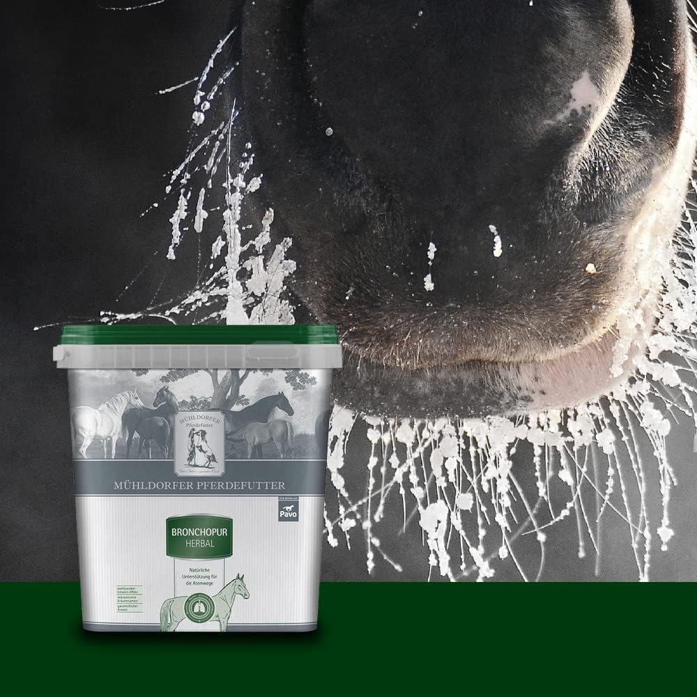 71Y6hhMpMHL. AC SL1000 .jpg