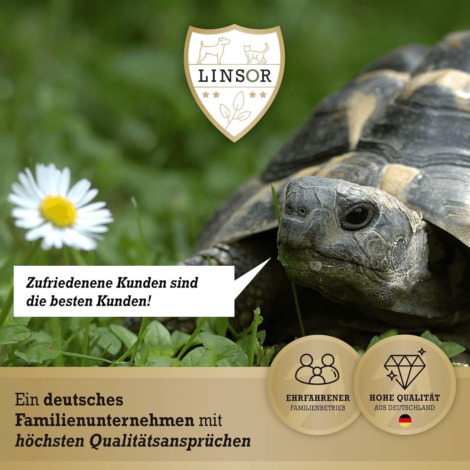 71YEYUJ3ZL. AC SL1500 .jpg