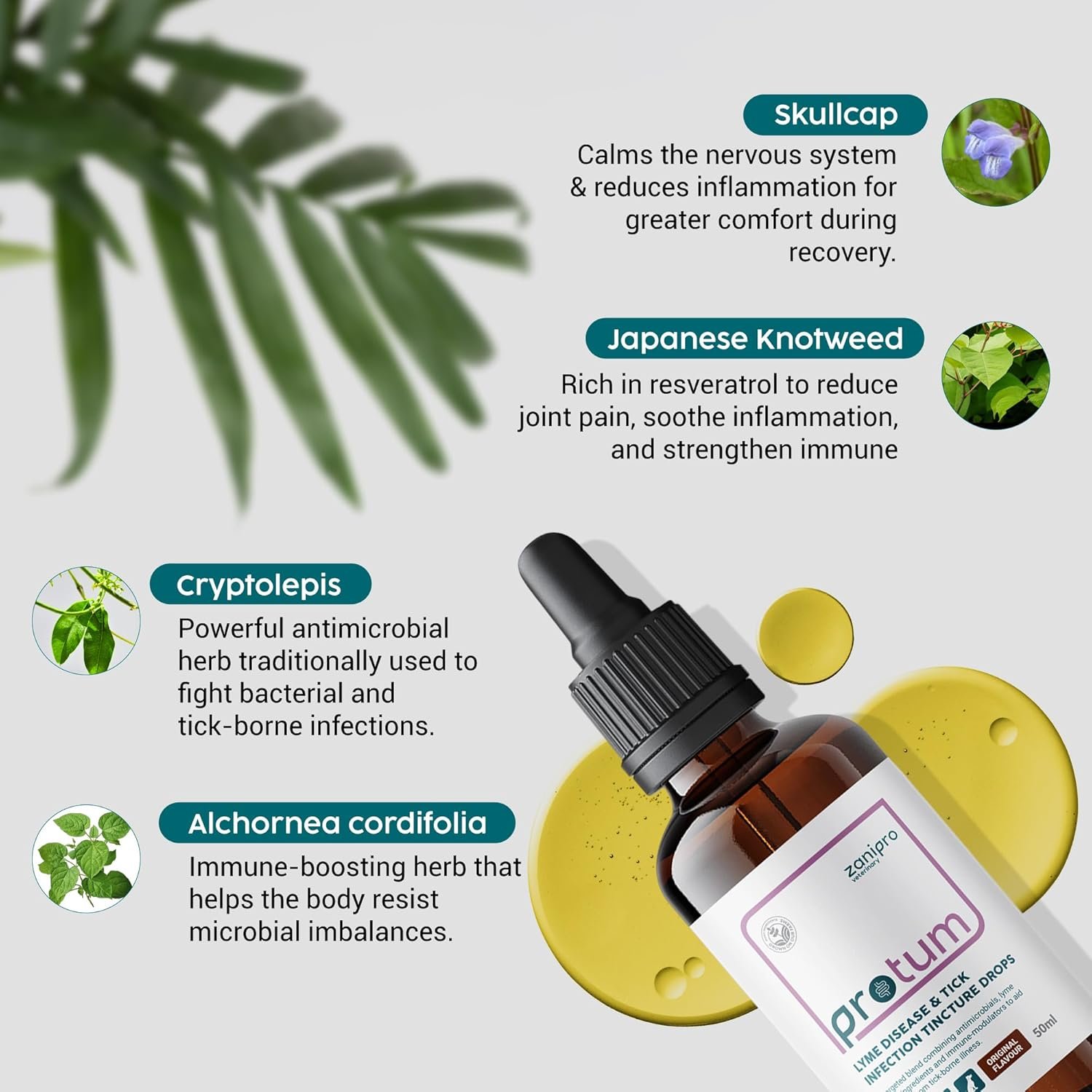 71YFDi2IpBL. AC SL1500 .jpg