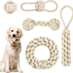 71YIaoQ72kL. AC SL1500 .jpg