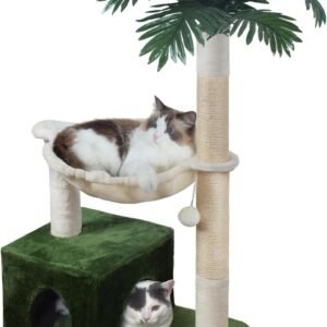 71YONlRnDQL. AC SL1500 .jpg