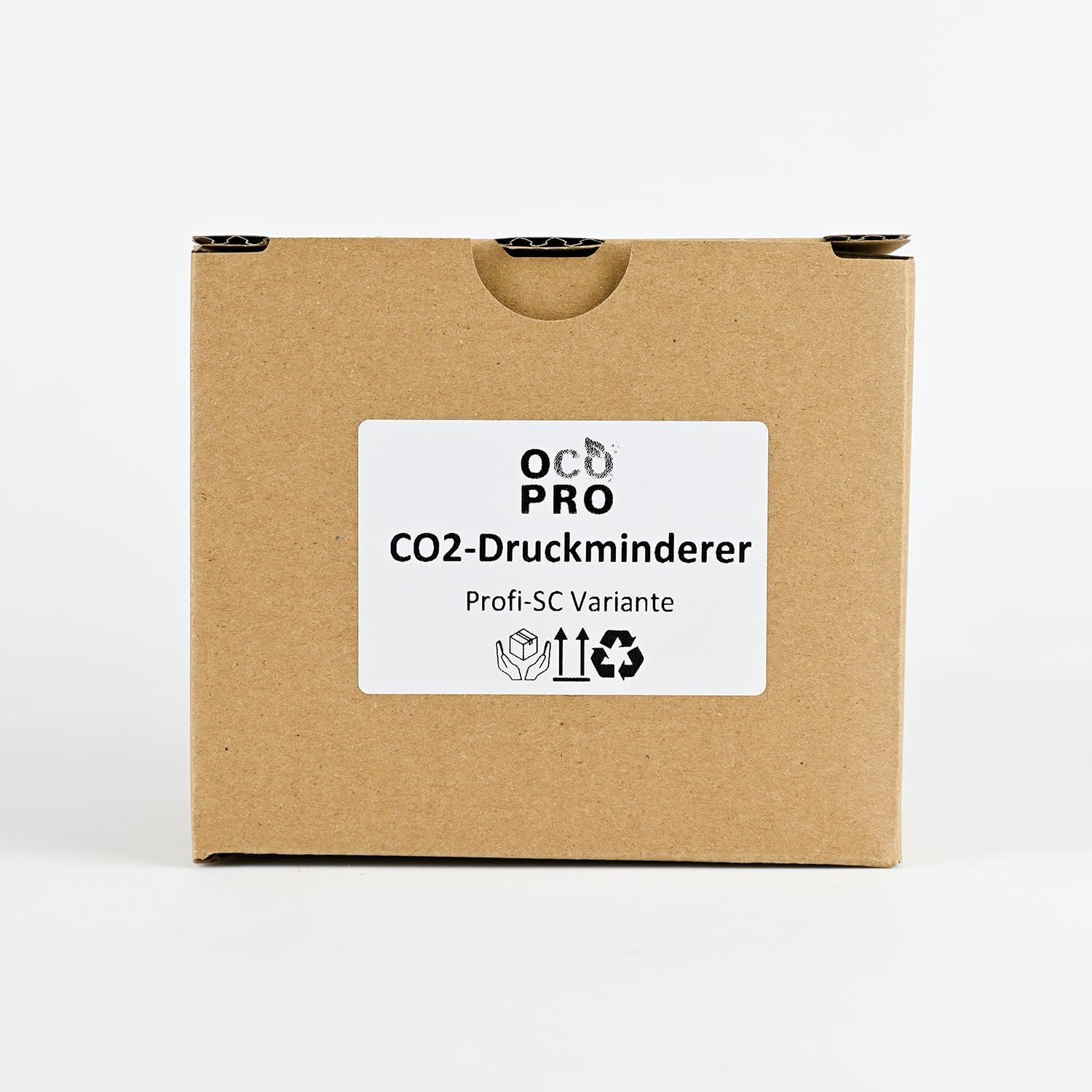 71YltPiglZL. AC SL1500 .jpg