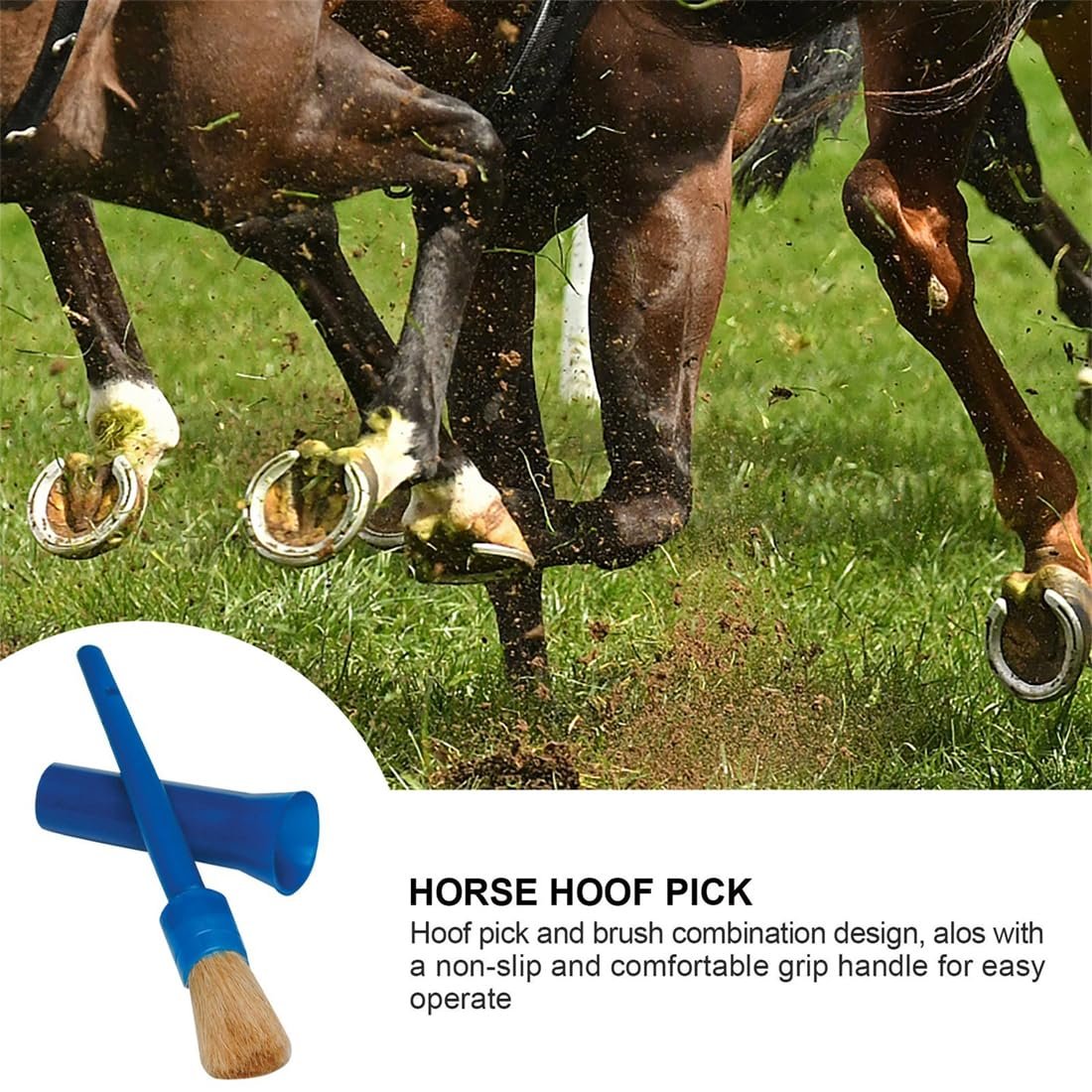 71Z1B6hQwXL. SL1100 .jpg