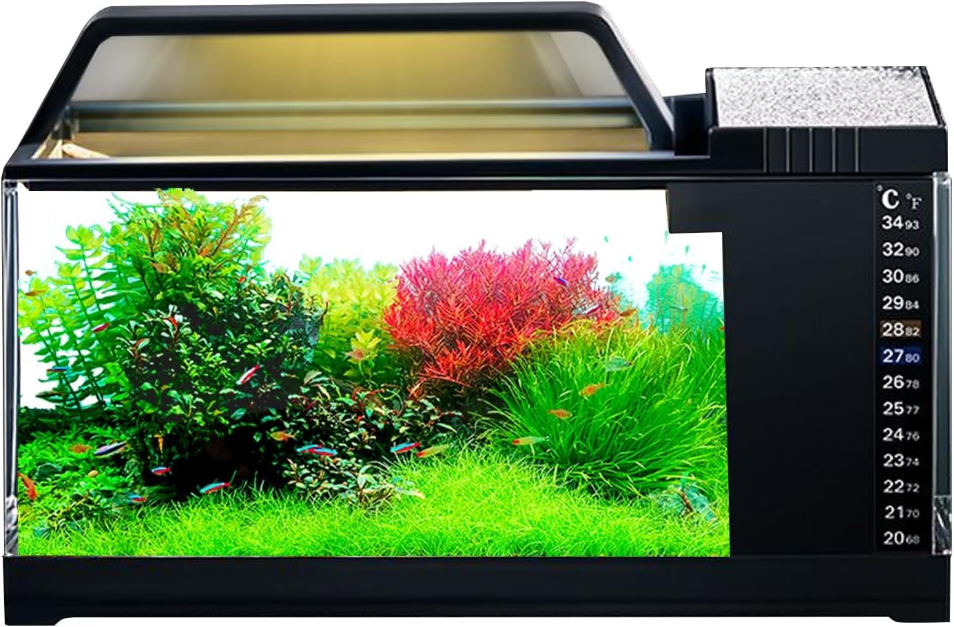 Betta Aquarium mit Filter und Beleuchtung, komplettes Set mit leiser Pumpe, stilvolle Dekoration für Schlafzimmer, Wohnzimmer und Heimbüro Betta Aquarium mit Filter und Beleuchtung, komplettes Set mit leiser Pumpe, stilvolle Dekoration für Schlafzimmer, Wohnzimmer und Heimbüro