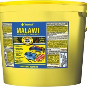 71ZIjk7lRRL. AC SL1104 .jpg