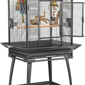 71ZTI2ngpL. AC SL1280 .jpg