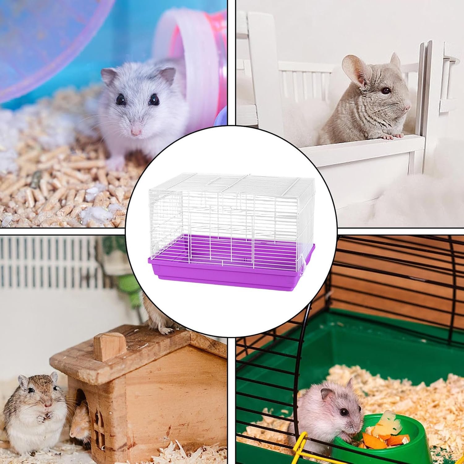 71Zf3X99SFL. AC SL1500 .jpg