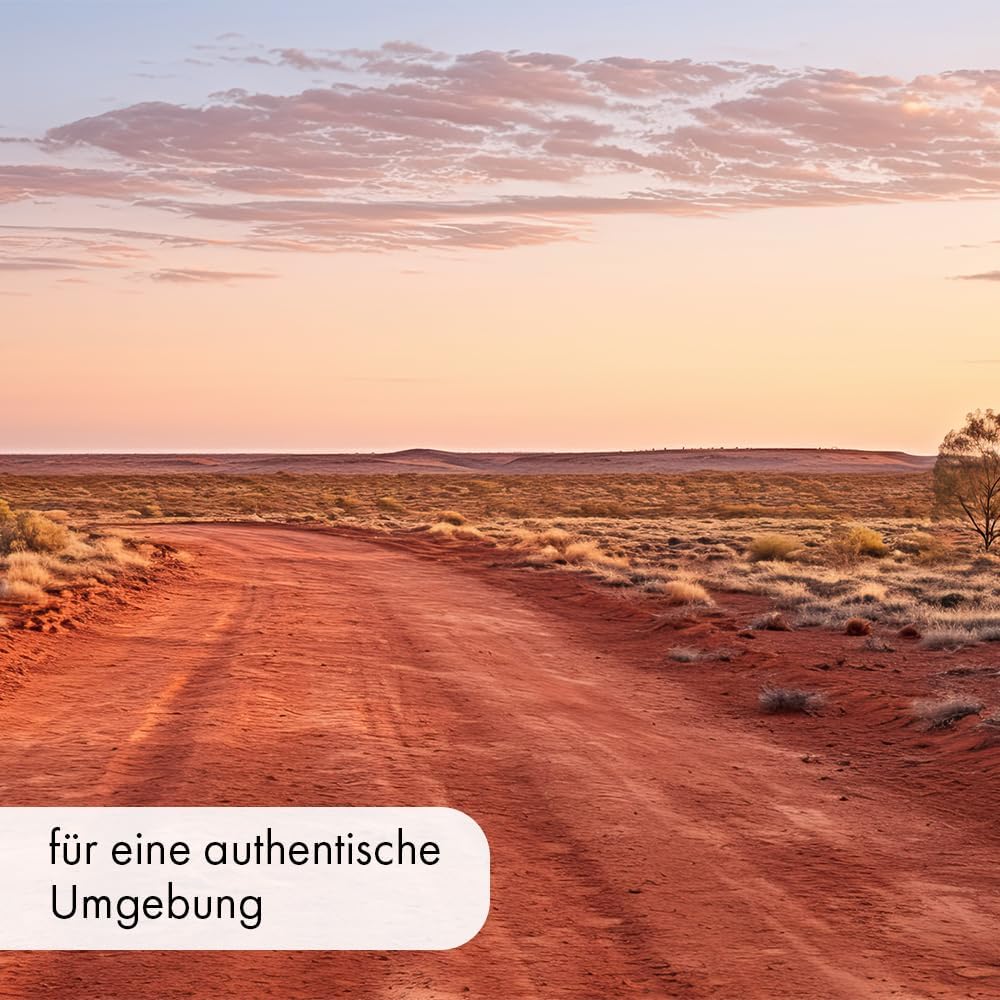 71ZjcMMvWL. AC SL1000 .jpg