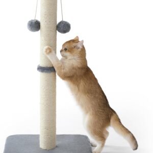 71Zq68r3rPL. AC SL1500 .jpg