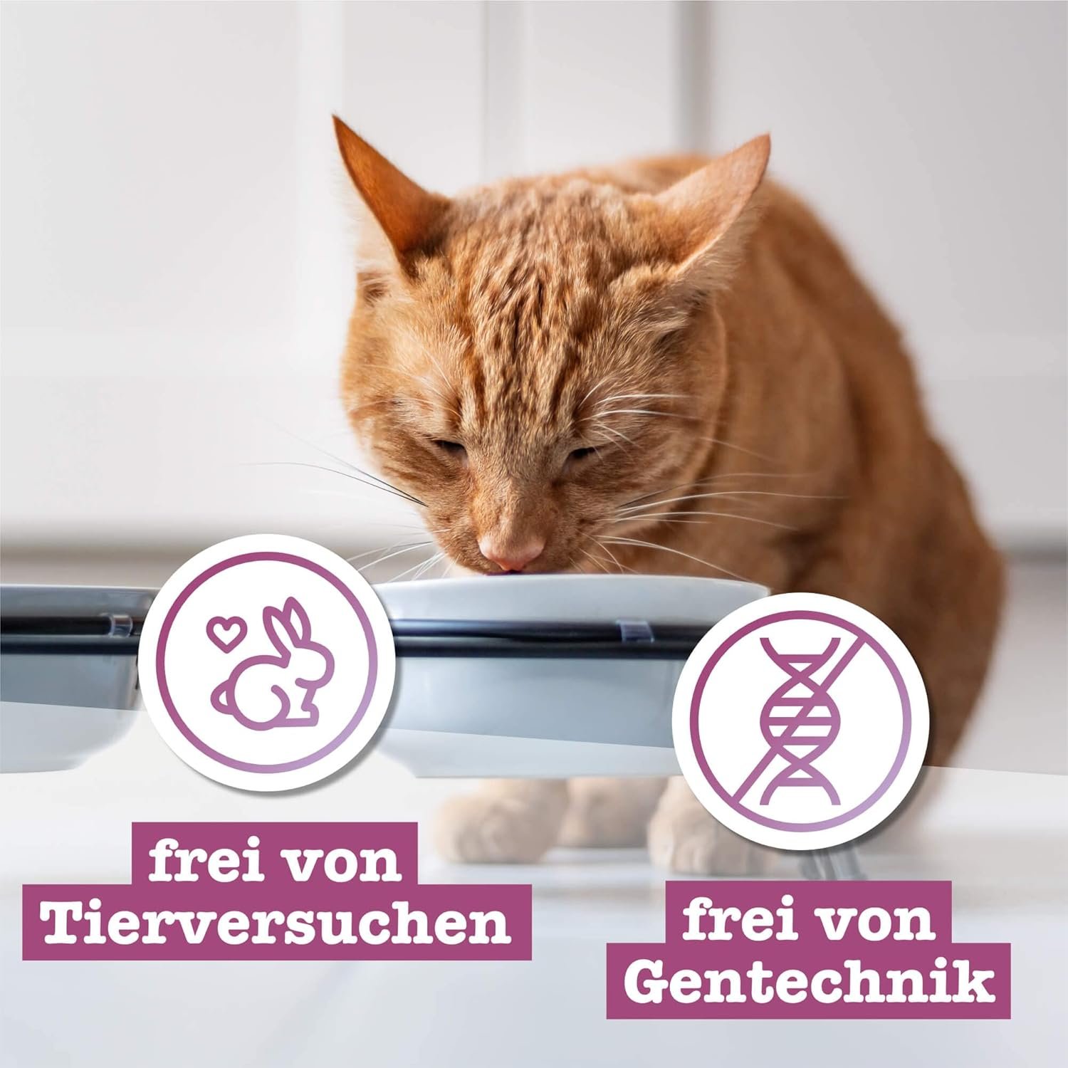 71aQXhaFNTL. AC SL1500 .jpg