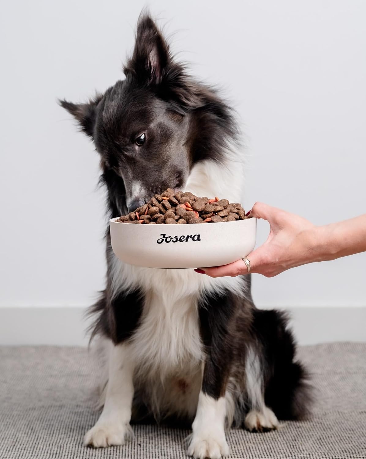 71aX10hLcBL. AC SL1500 .jpg