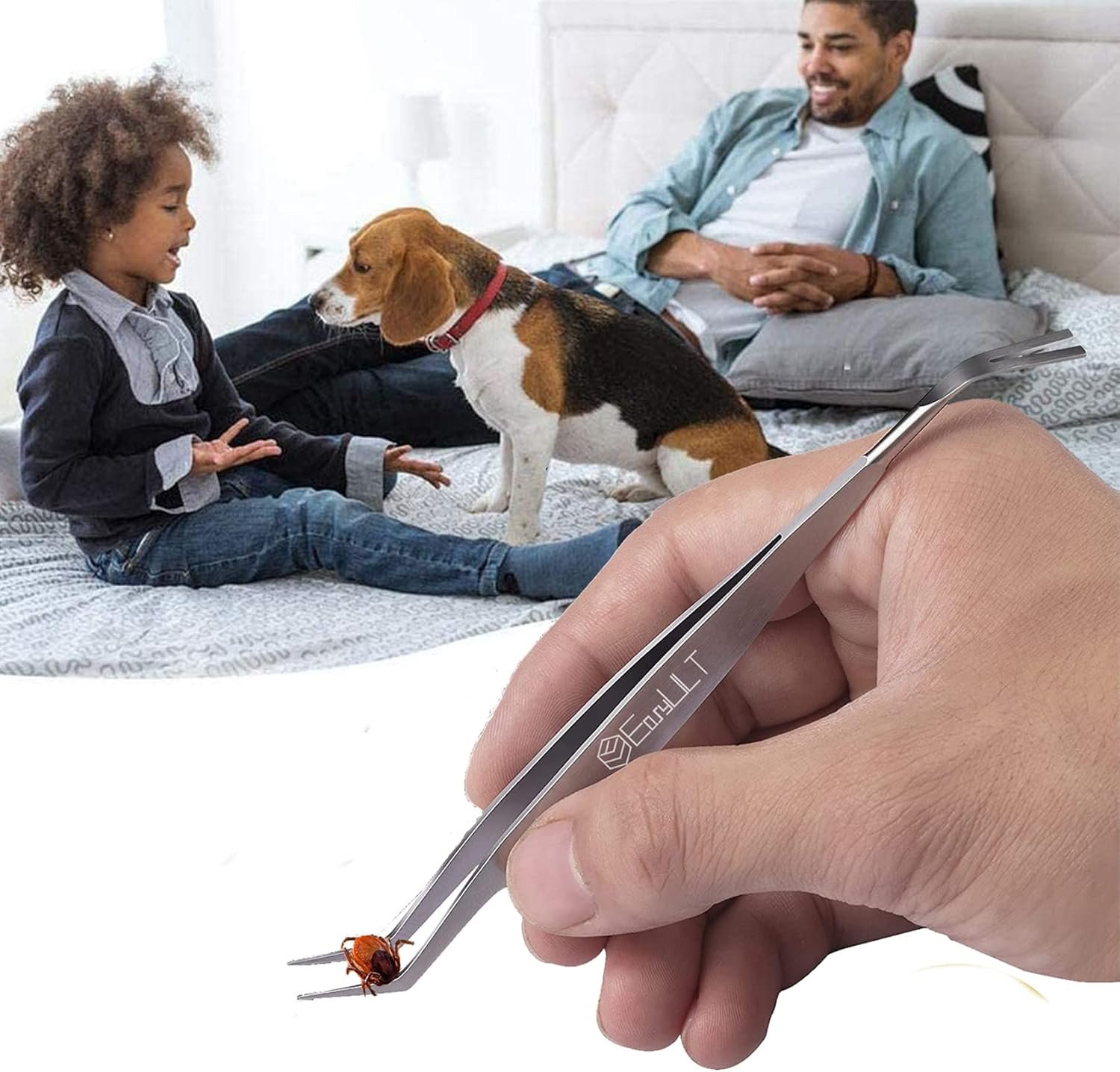 71abH5zZkgL. AC SL1500 .jpg