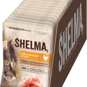 71abiknKhEL. AC SL1500 .jpg