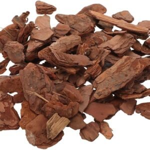 71aurjUbxL. AC SL1280 .jpg