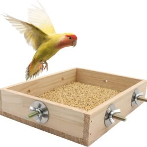 71b02dSELtL. AC SL1500 .jpg