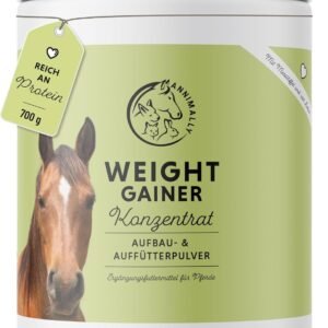 71bKPkQNDhL. AC SL1500 .jpg