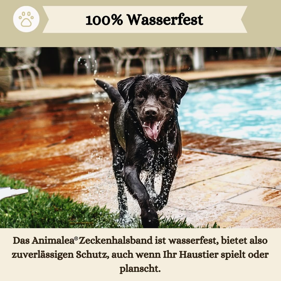 71bbJ8Z5yRL. AC SL1080 .jpg