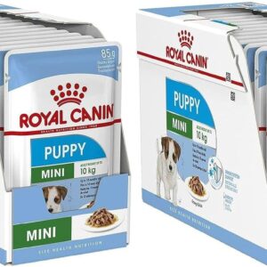 71cGr0v0WGL. AC SL1500 .jpg