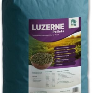 71cSlwo7QCL. AC SL1500 .jpg