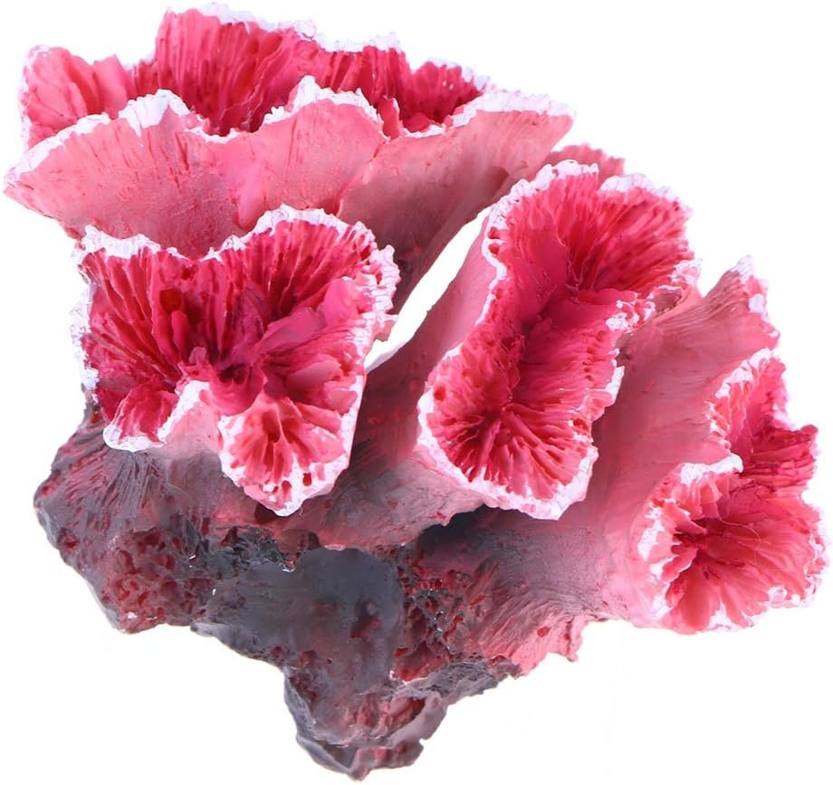 71cl3rLlOFL. AC SL1200 .jpg